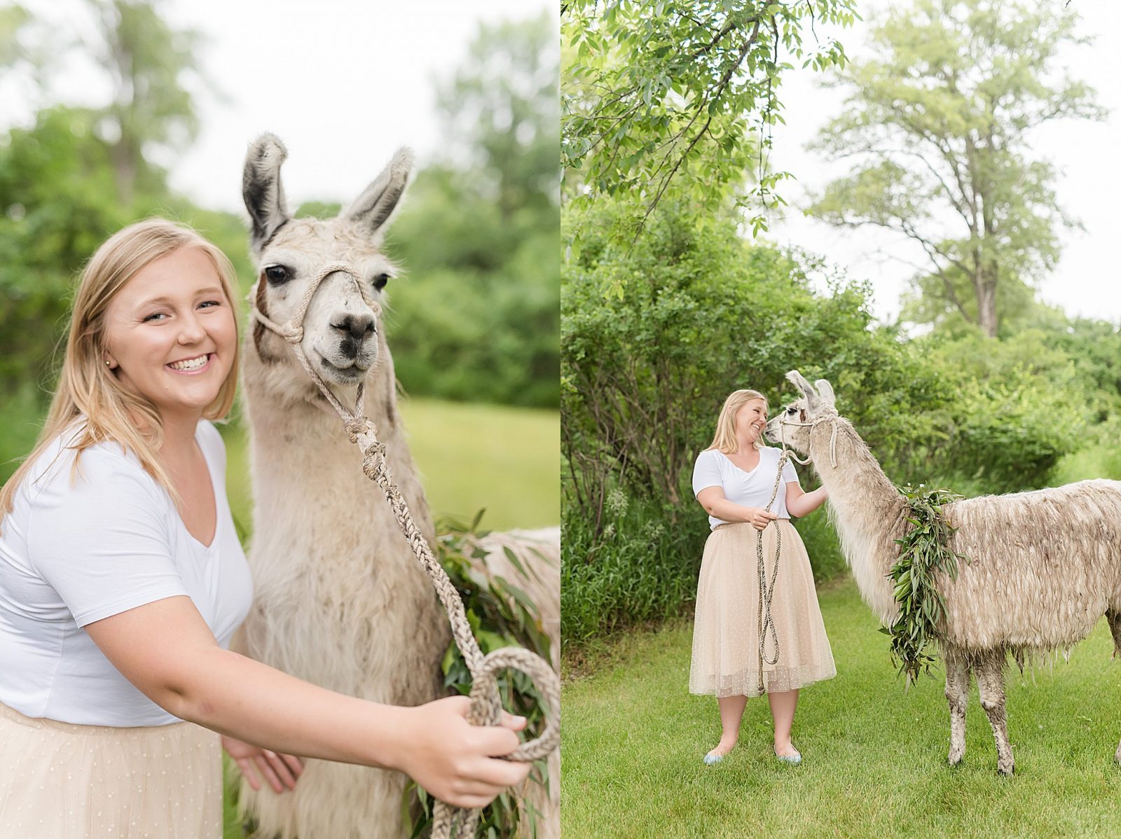Senior Pictures with Llama