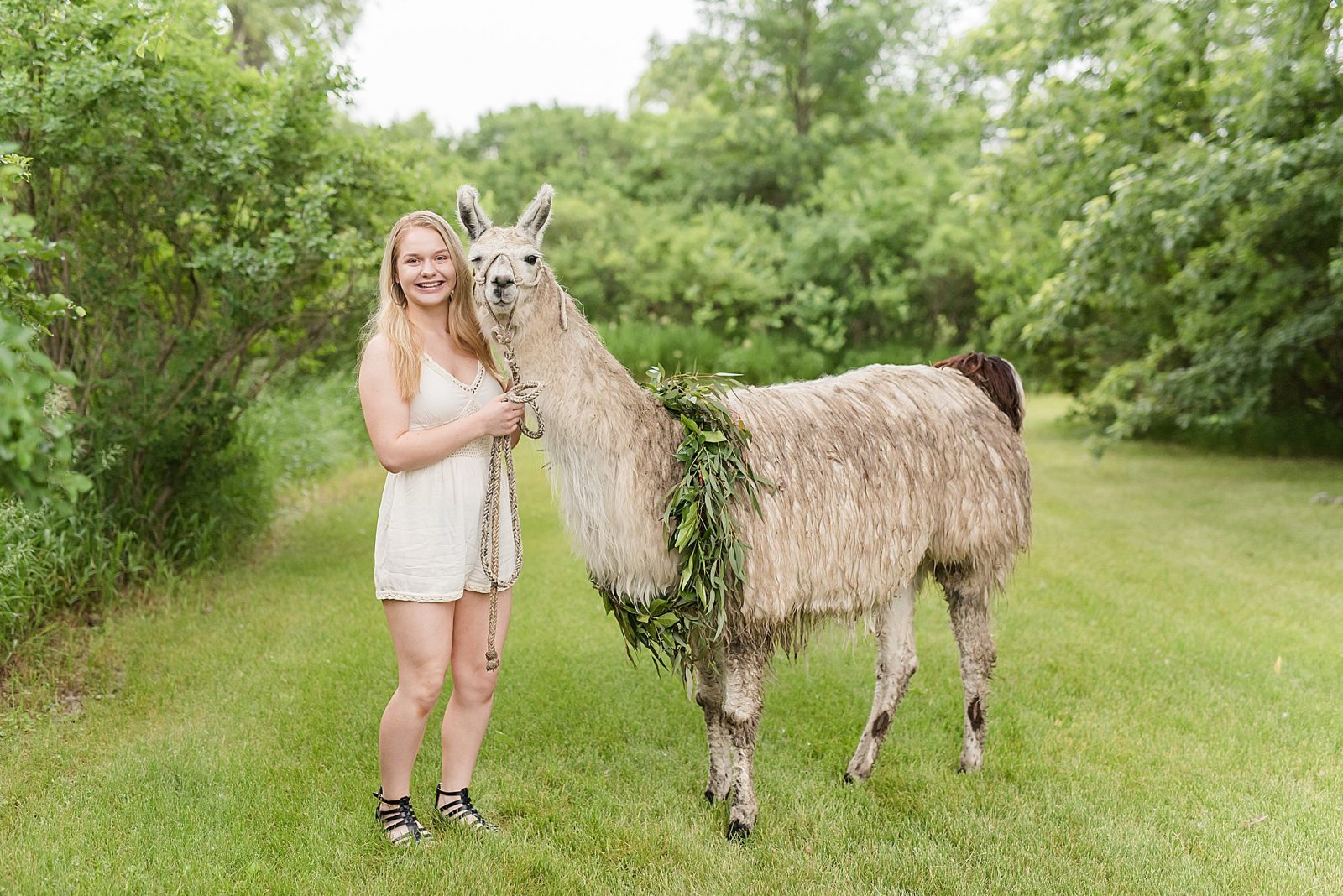 Senior Pictures with Llama