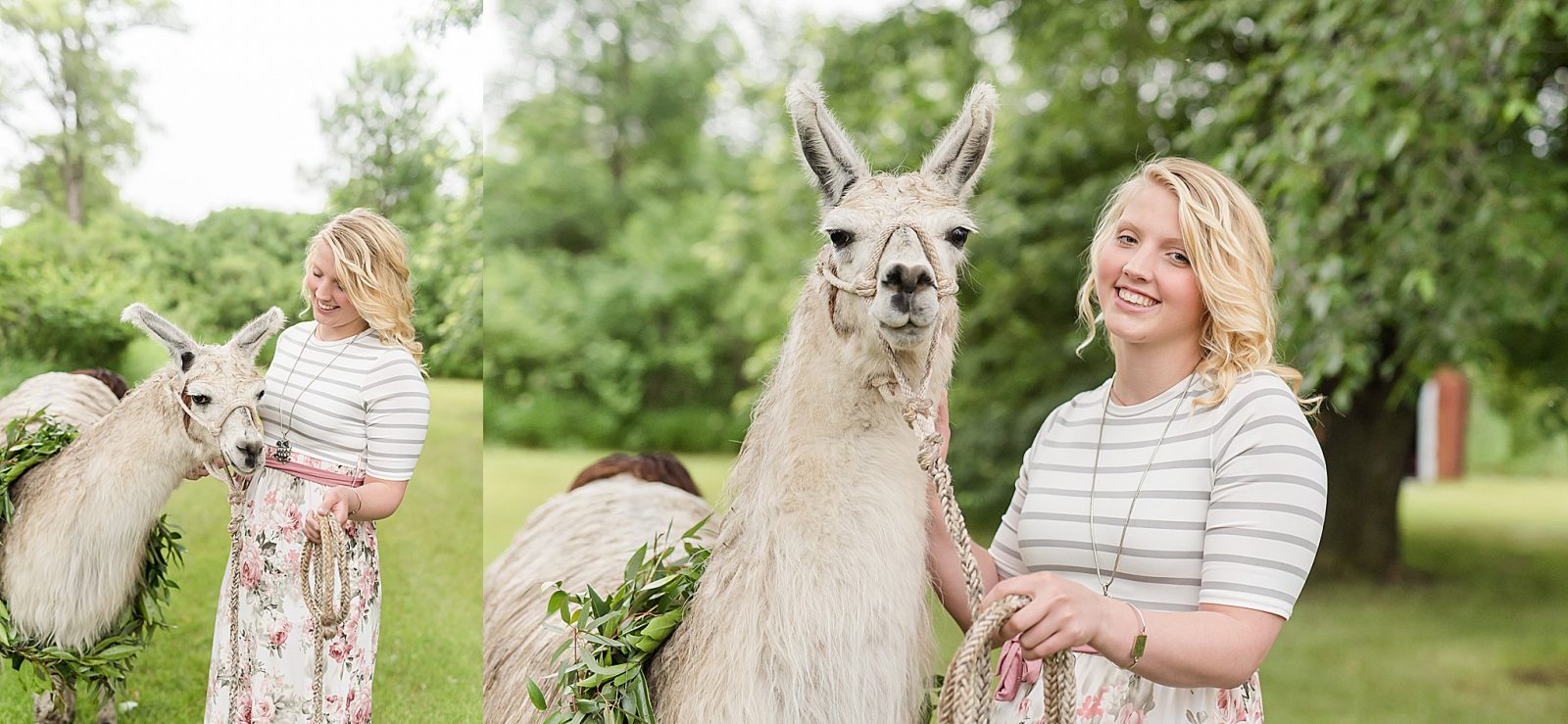 Senior Pictures with a Llama