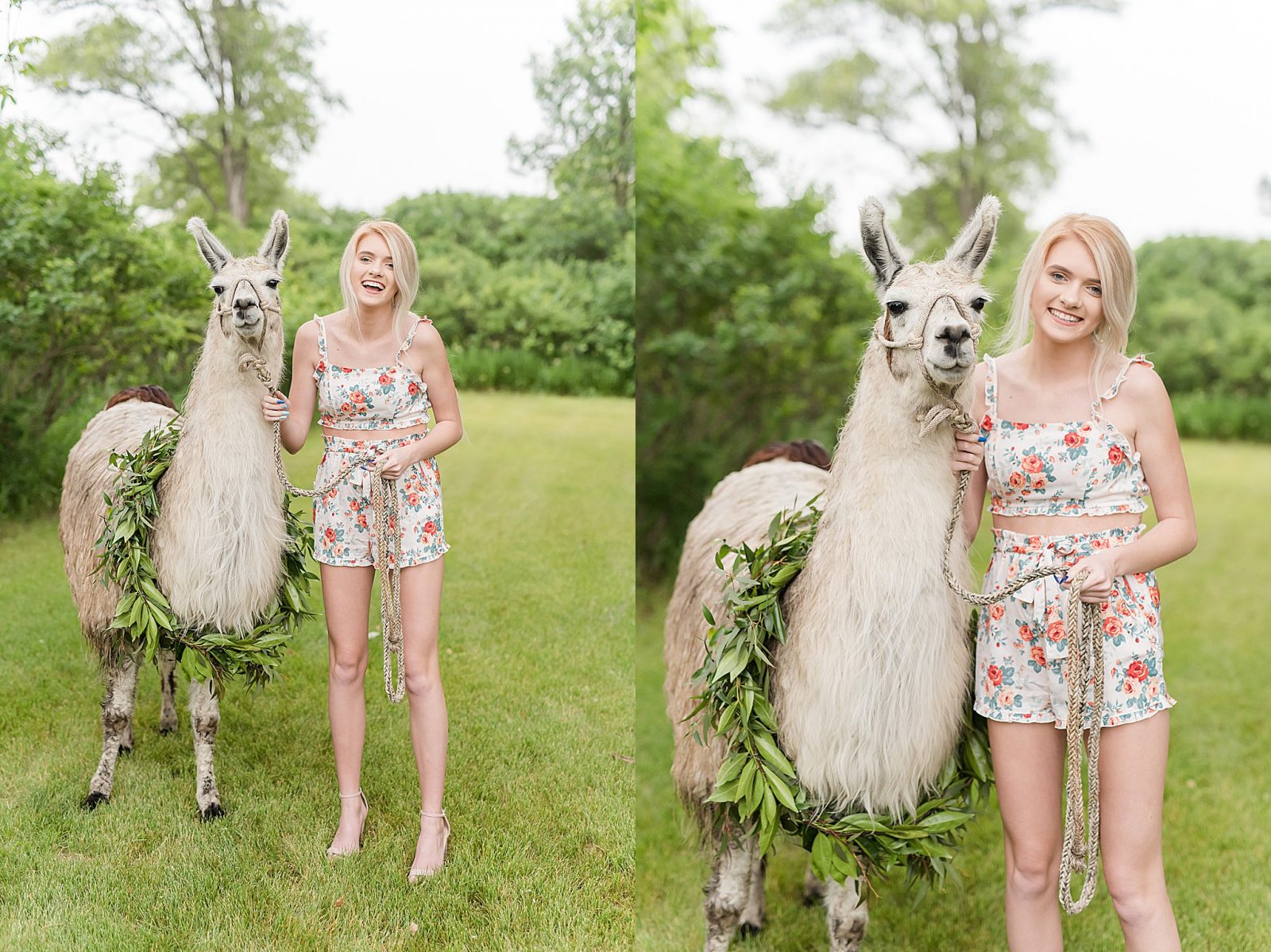 Senior Pictures with a Llama