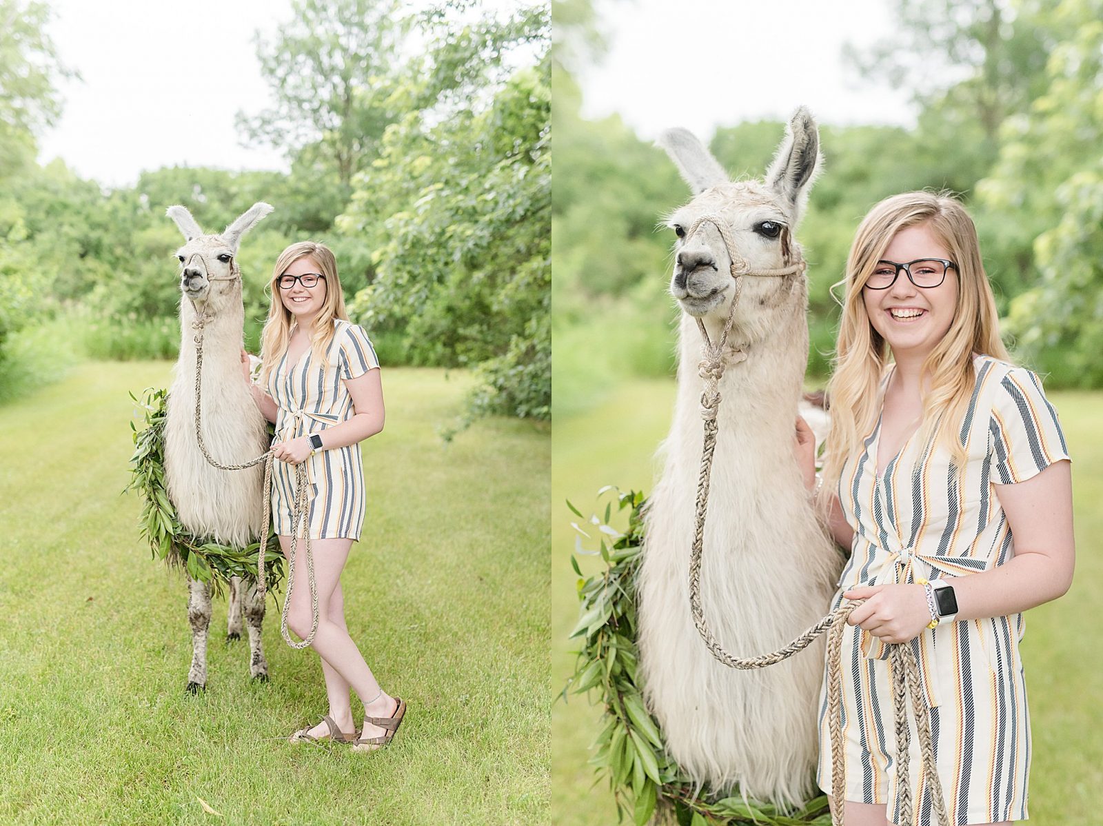 Llama Senior Session