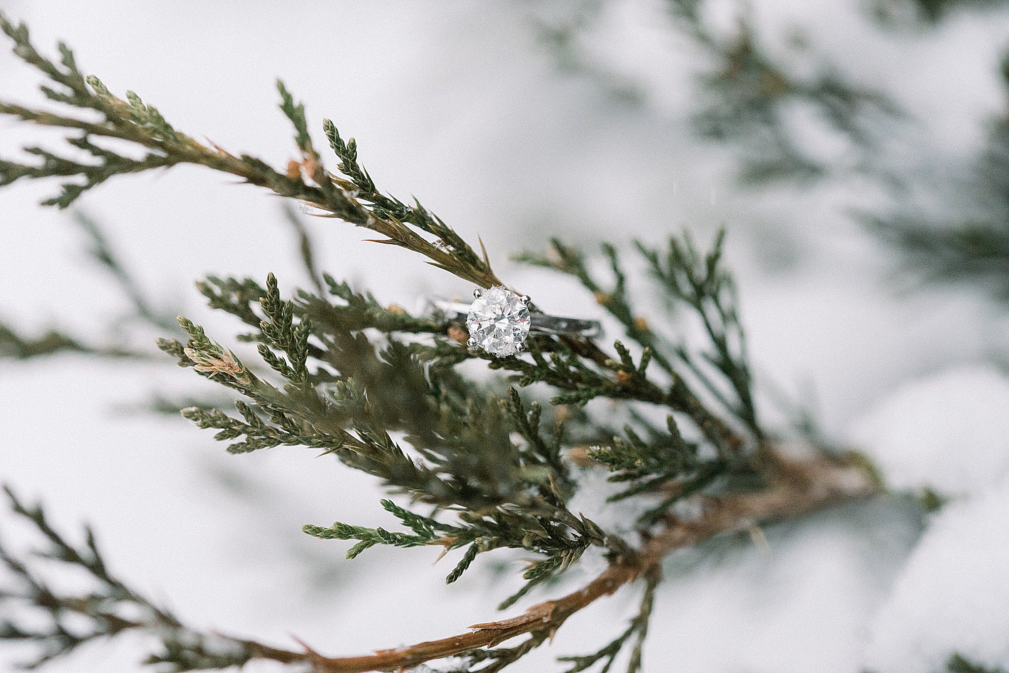 Engagement Ring in Snow